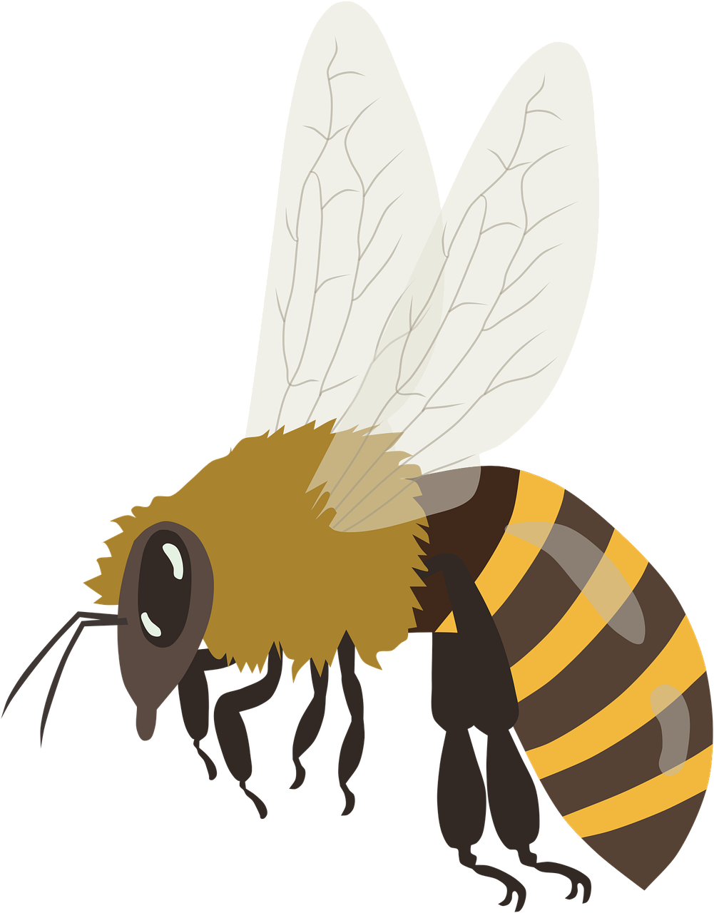 Bee